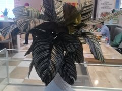 -嘉和一品粥(魏公村店)