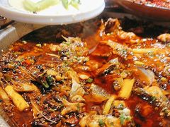 -正宗来凤鱼璧山兔(花卉园店)