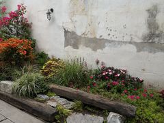 -新悦·霞浦海鲜生(上下杭店)