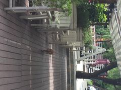 泰莲庭鲟鱼旅行餐厅-Local泰莲庭(虹鳟鱼店)