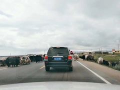 -青海湖国家重点风景名胜区