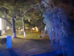 -中央公园(苏州工业园区)