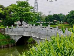 -王借岗森林公园