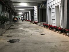 -奥林匹克体育中心游泳馆