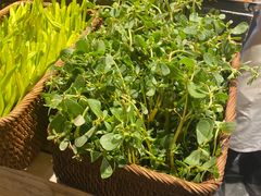 -喜庭海鲜自助(北辰三角洲北辰荟店)