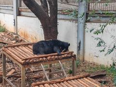 -昆明动物园