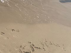 -玫瑰海岸文化旅游度假区