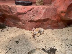 -Zoolung Zoolung动物主题公园(海信广场店)