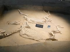 -洛阳周王城天子驾六博物馆