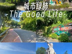 -仙岳公园