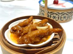 -点都德·毕德寮
