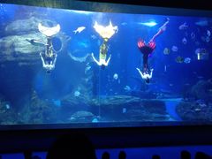 -多彩贵州城极地海洋世界