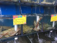 -蚝专家(北滘店)