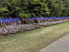 -上海滨江森林公园