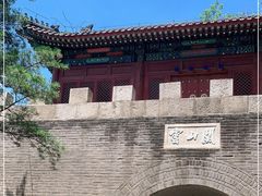-云岗森林公园