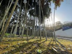 -南山风景名胜区