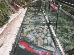 -九龙江国家森林公园