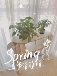 -SILKTONE诗丽堂美容