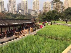 -龙头寺公园