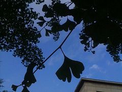 -辽宁大学(崇山校区)