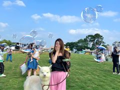 -南京外国语学校(仙林分校西区)