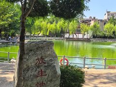 -莲湖公园
