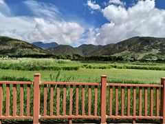 -泸沽湖国家级风景名胜区走婚桥