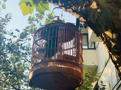-Onirii Coffee(长乐路店)