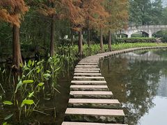 -重庆彩云湖湿地公园