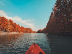 -上海海湾国家森林公园