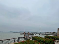 -深圳湾公园(南山区)