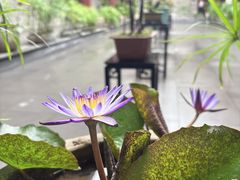 -聚福宝合苑食府(南头镇店)