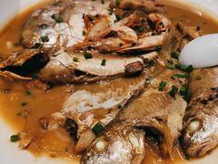 -渔人码头(中南店)