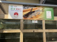 -胖大姐黄辣丁鱼庄(新津店)