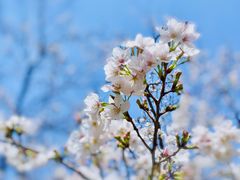 -西北湖绿化广场