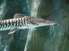 -福州罗源湾海洋世界旅游区