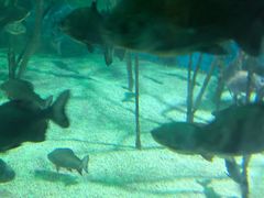 -福州罗源湾海洋世界旅游区