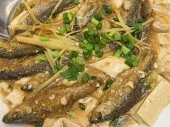 -杨记新泉美食
