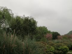 -贵阳市花溪国家城市湿地公园