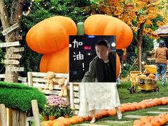 -HERRE·FARM 赫尔露营农场·团建聚会包场