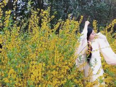 -西安汉城湖景区