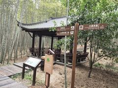 -游子山休闲旅游区