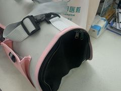 -博特宠物医院24h犬猫全科.骨科·异宠