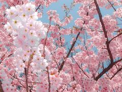 -全季酒店(重庆上清寺牛角沱地铁站店)