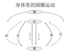 -裕和堂中医推拿艾灸(太古汇臻品店)