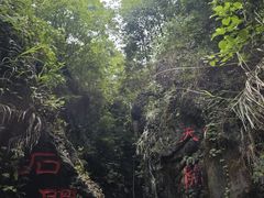 -华蓥山天意谷景区