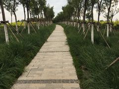 -天津东丽湖风景区