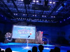 -华夏文旅海洋公园