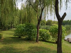 -南翔镇银翔湖公园