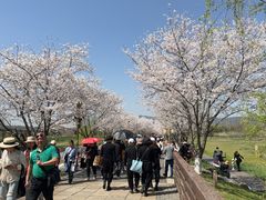 -长田漾湿地公园